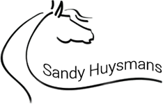 Sandy Huysmans